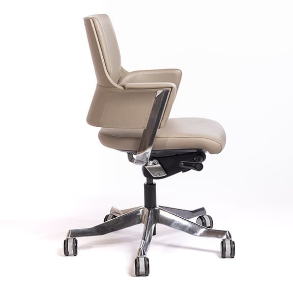 Delphi Low Back