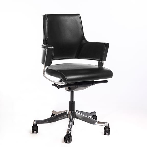 Delphi Low Back