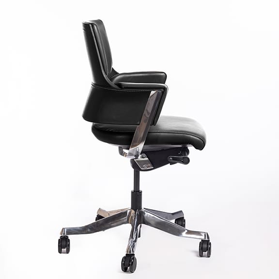 Delphi Low Back