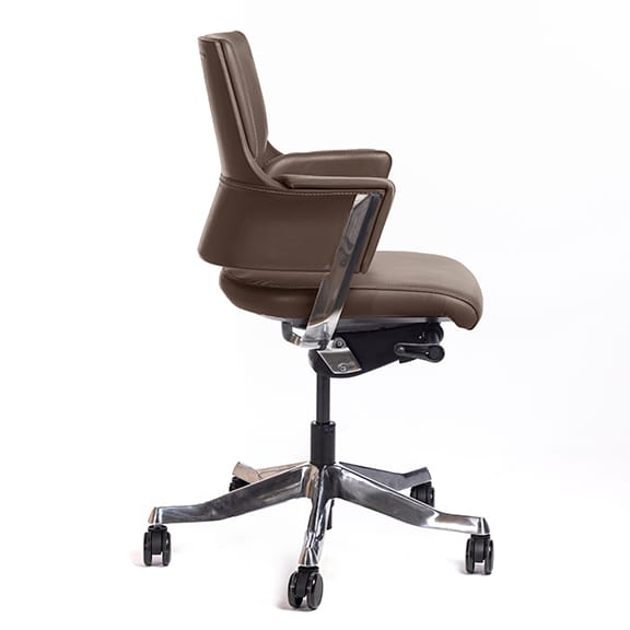 Delphi Low Back