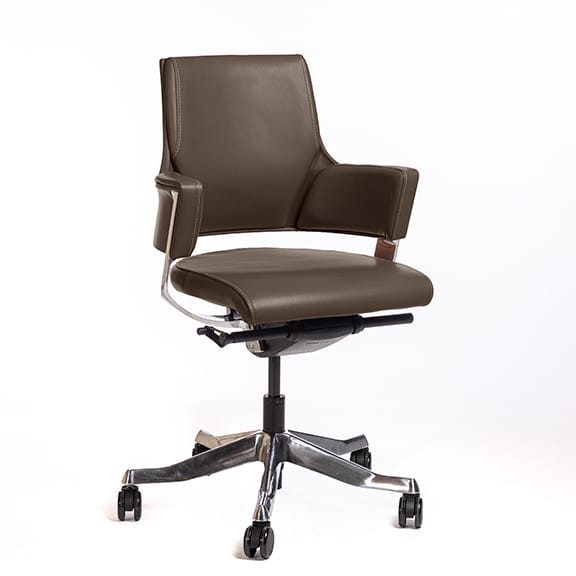 Delphi Low Back