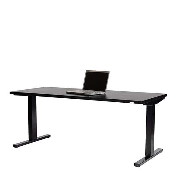 ECO SITSTAND TABLE